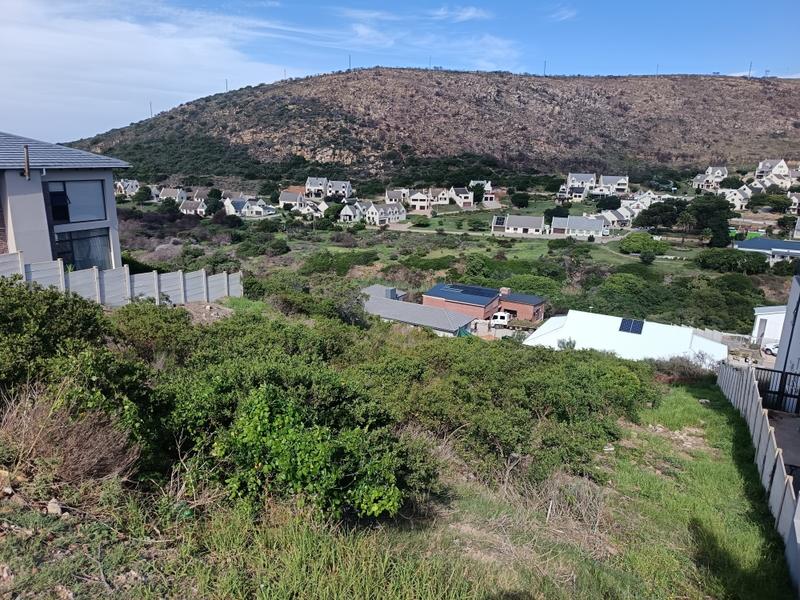 0 Bedroom Property for Sale in Island View Western Cape